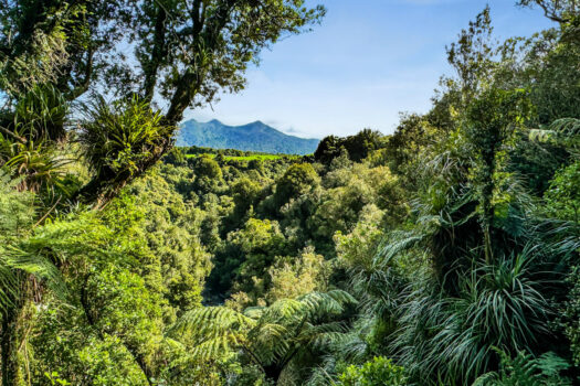 Pouakai Homestead & Lifestyle