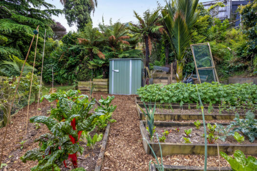 Eco Living & Affordability