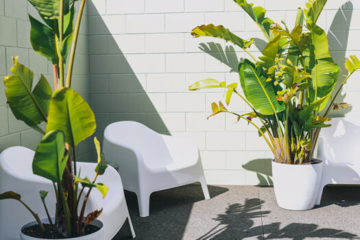 Luxury meets tranquility