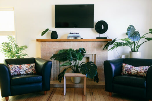 627sqm of Pure Muricata Magic