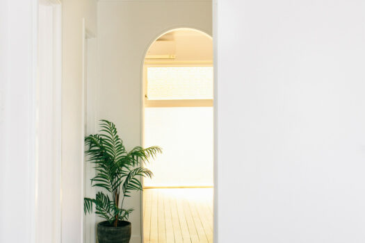 627sqm of Pure Muricata Magic