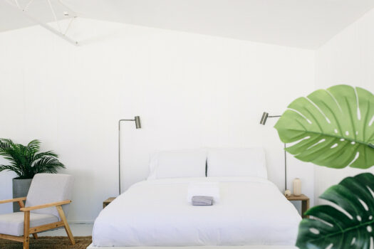 627sqm of Pure Muricata Magic