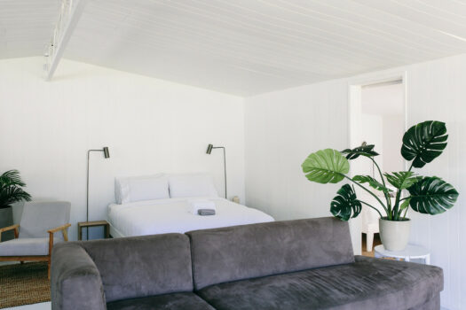 627sqm of Pure Muricata Magic