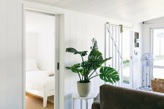 627sqm of Pure Muricata Magic