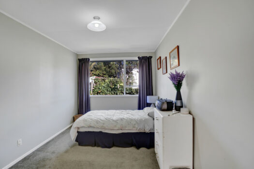 Easy Care, Endless Opportunity