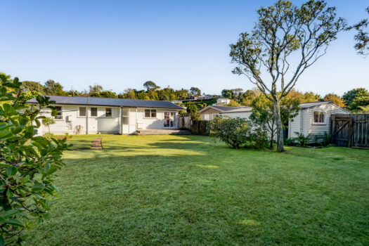 Easy Care, Endless Opportunity