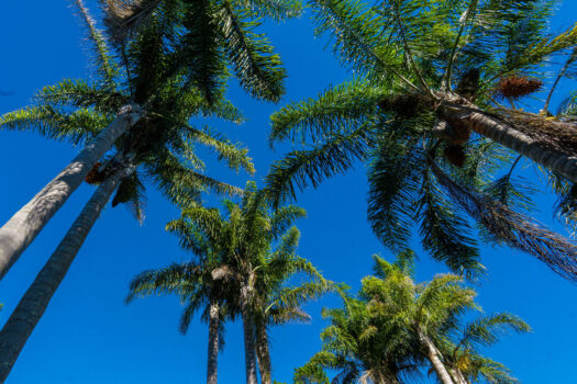 Make Your Waterfront Dream a Reality