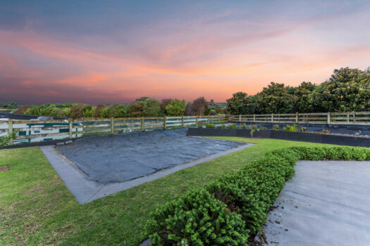 Space to Live, Room to Grow