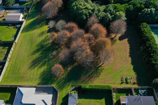 Backyard to Brooklands – Renovated and Ready!