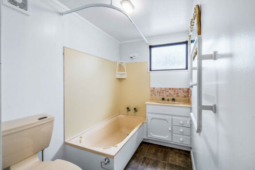 Packed with Potential