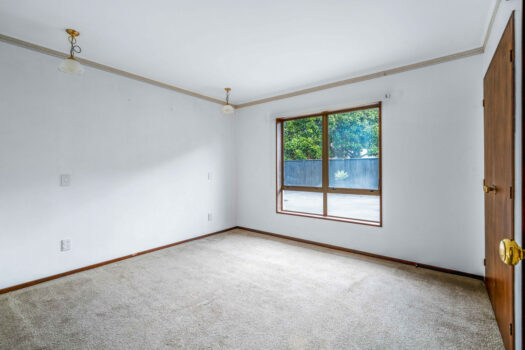 Packed with Potential