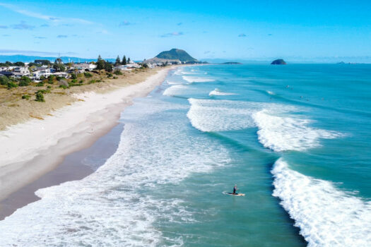 Packed with Potential