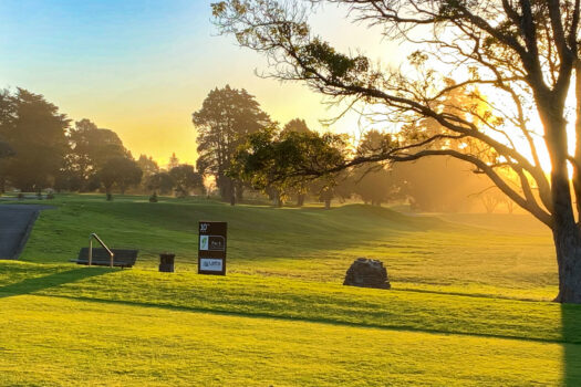 Packed with Potential