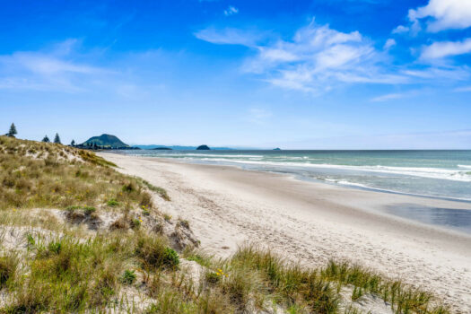 Sun, Surf and Smart Returns