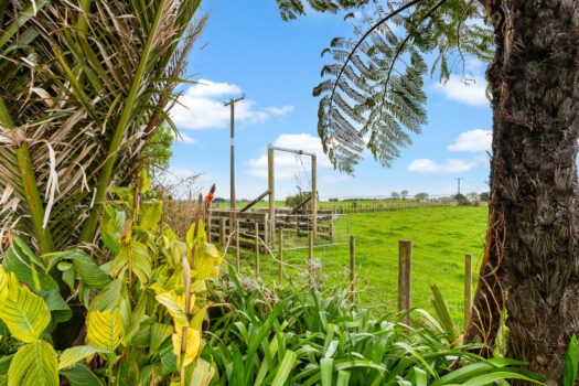 An Oakura Lifestyle within Reach