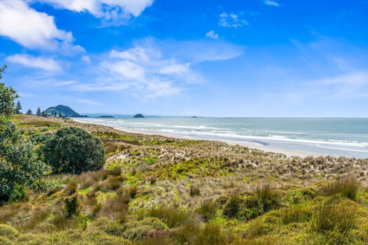 Your Beachfront Canvas