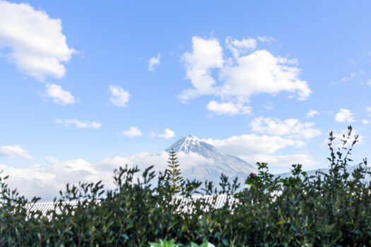 Practicality Meets Possibility