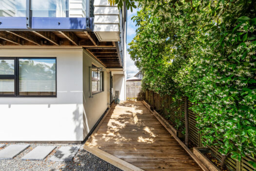 Let the Sun Shine in