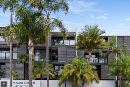 Every Day Living or Holiday Vibes