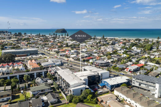 Every Day Living or Holiday Vibes