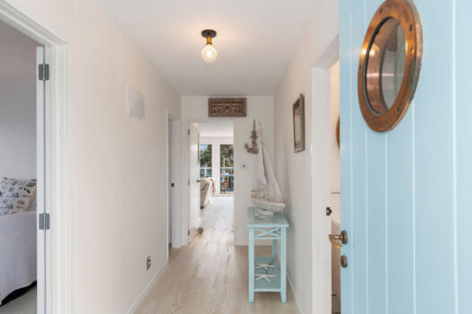 Live the Downtown Mount Lifestyle