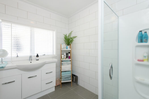 Big, Bold and Beautiful