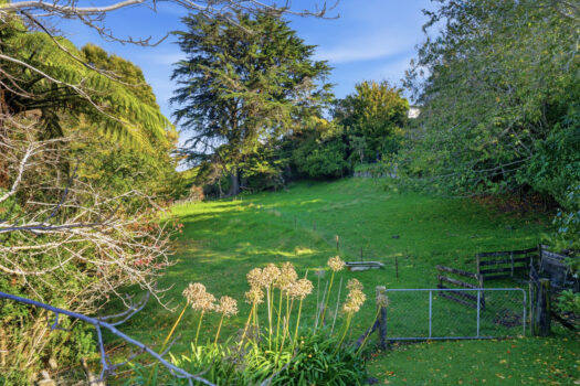 Lifestyle Freedom in Residential Setting