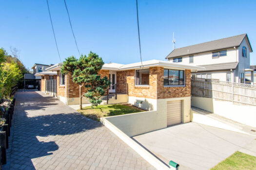 Central Mount Opportunity