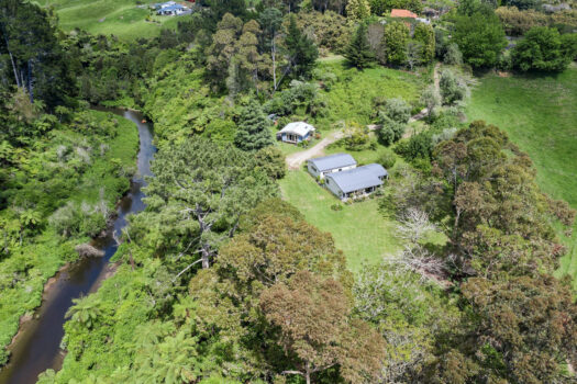 Nature as your Neighbour