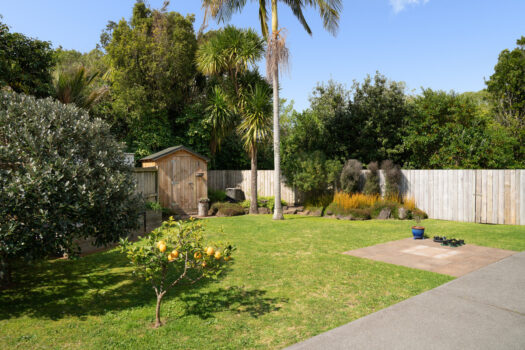 Sun-Drenched Sanctuary