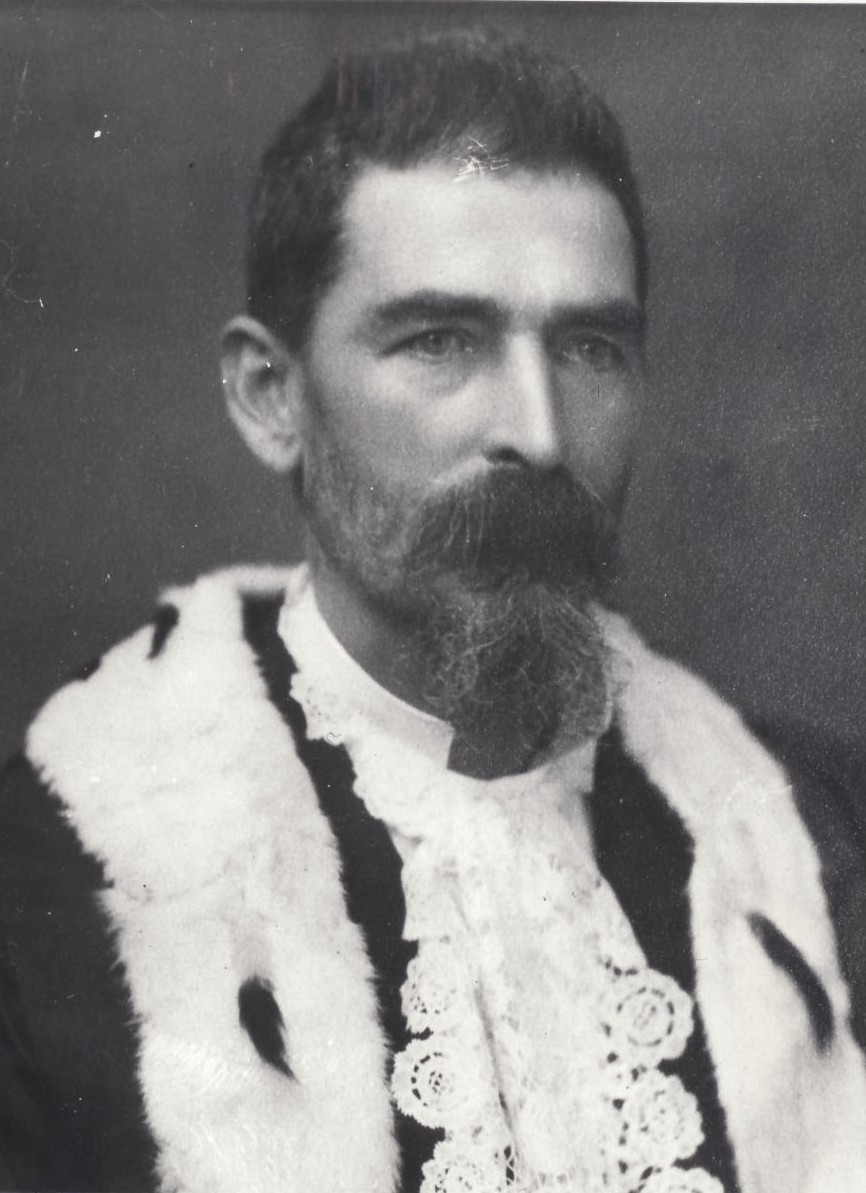 Isaac Ellis Ives - SYDNEY’S ALDERMEN
