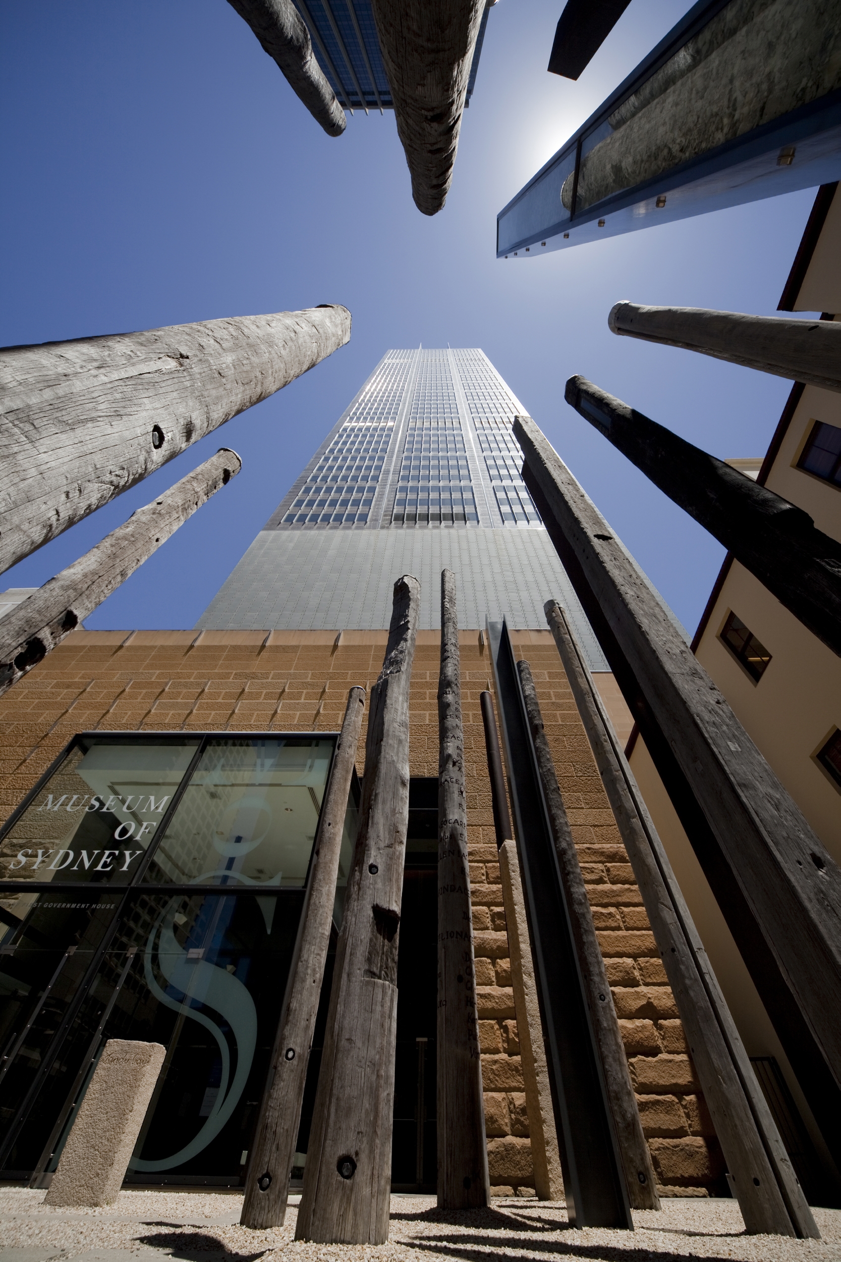 Essay 52_Edge of Trees Photograph (c) Brett Boardman