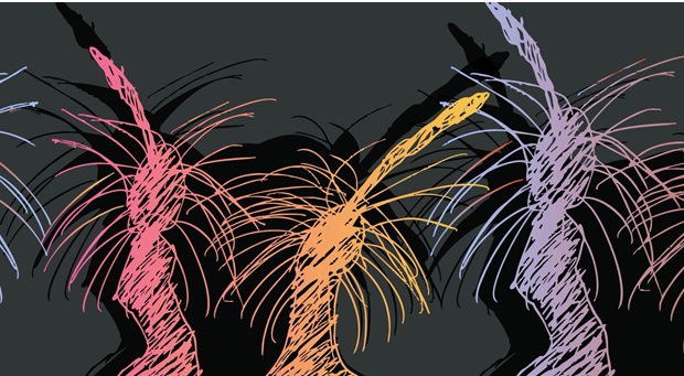 Firesticks Talk Series, Museum of History NSW