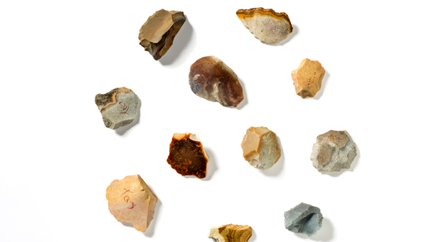 Macleay Museum: Written in Stone