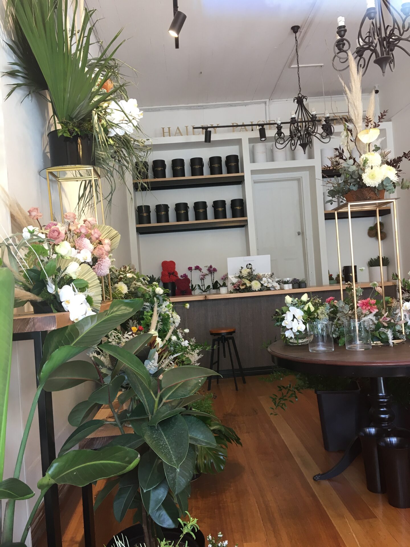 Flower shop full of flowers