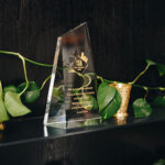 Clear angular award for wellness