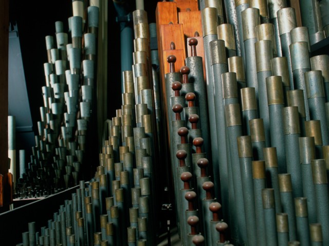 Organ Pipes
