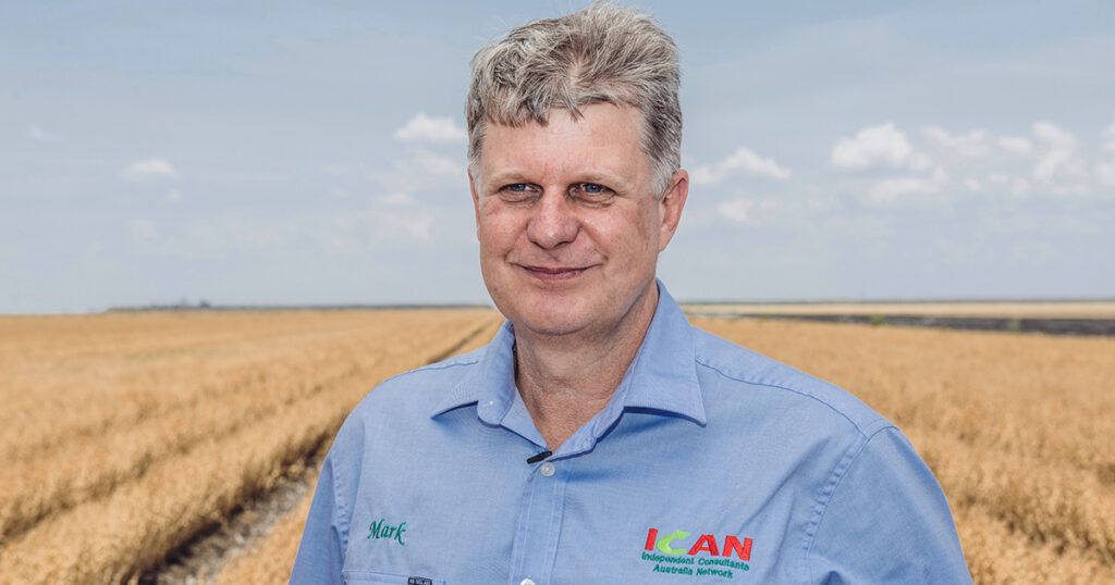 What impact does dry seeding have on preemergent herbicide efficacy