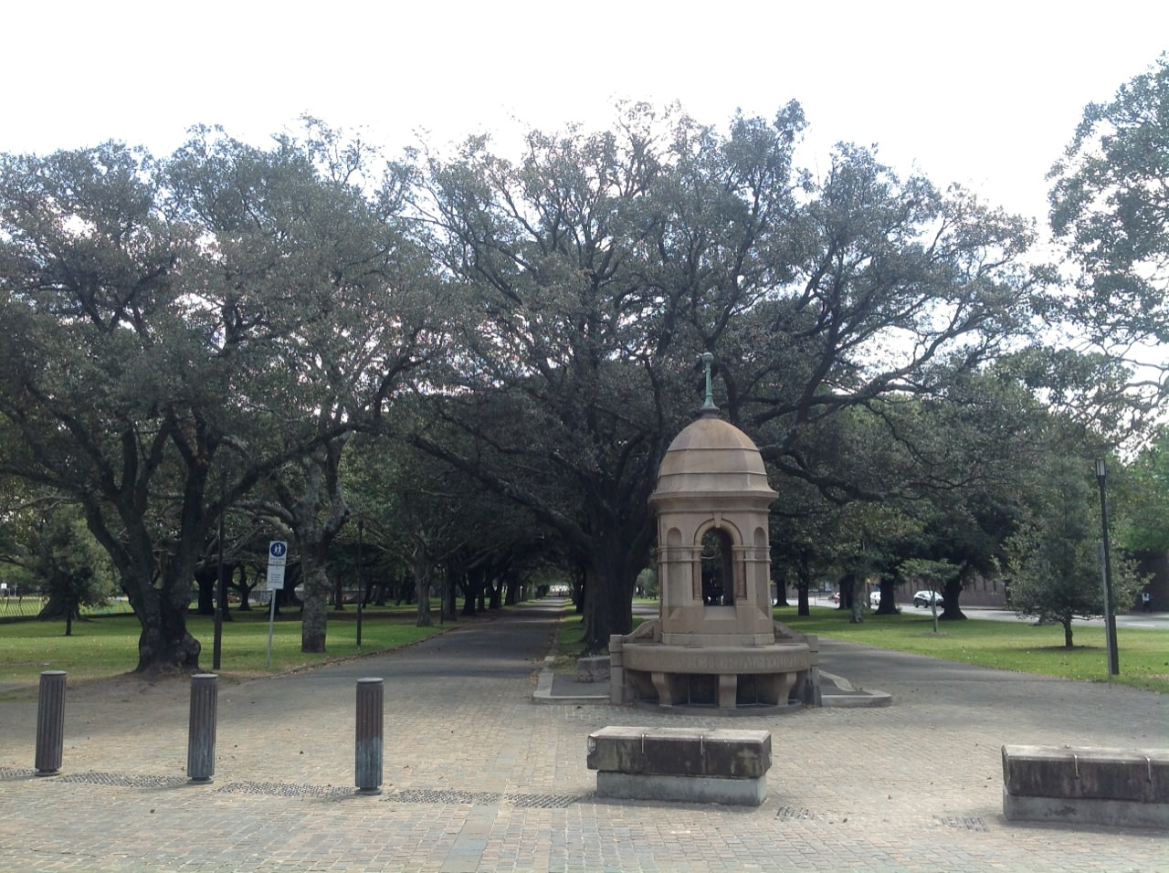 Figs and Oaks