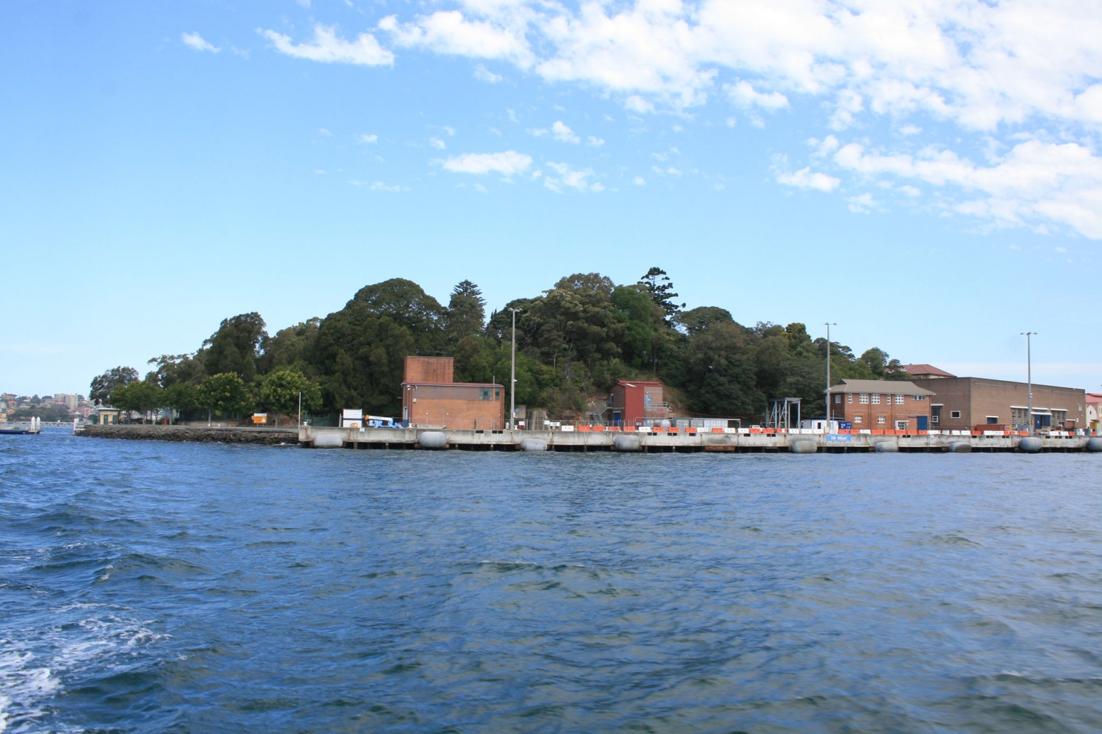 The northern headland of Garden Island viewed from the harbour, with many significant trees now defining its character