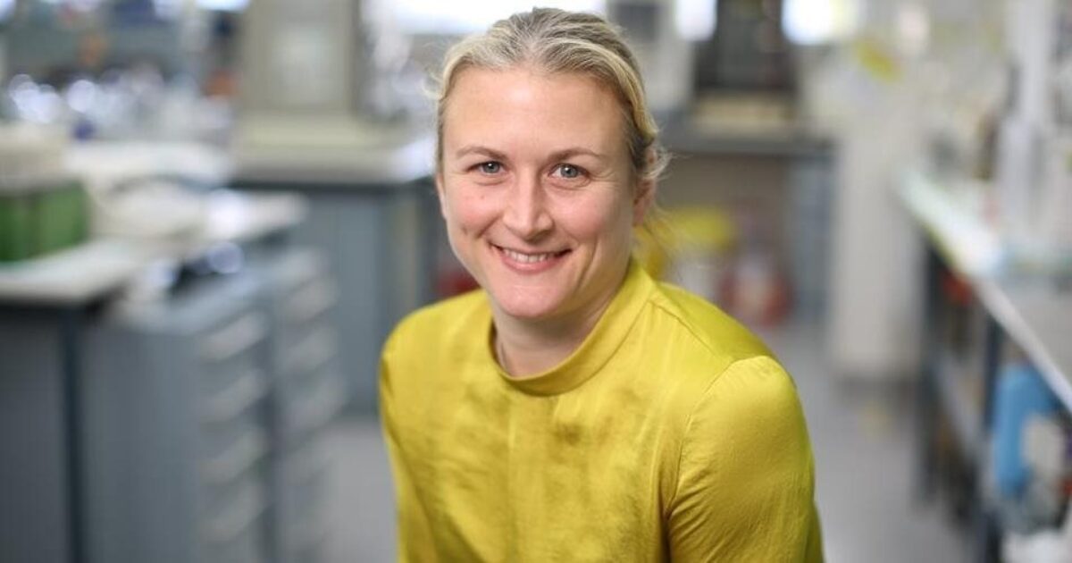 CMRI researcher finds treatment options for aggressive cancers CMRI