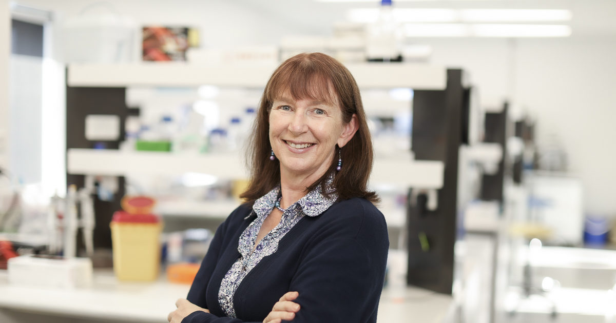 Peggie Rimmer Cell Biology | CMRI