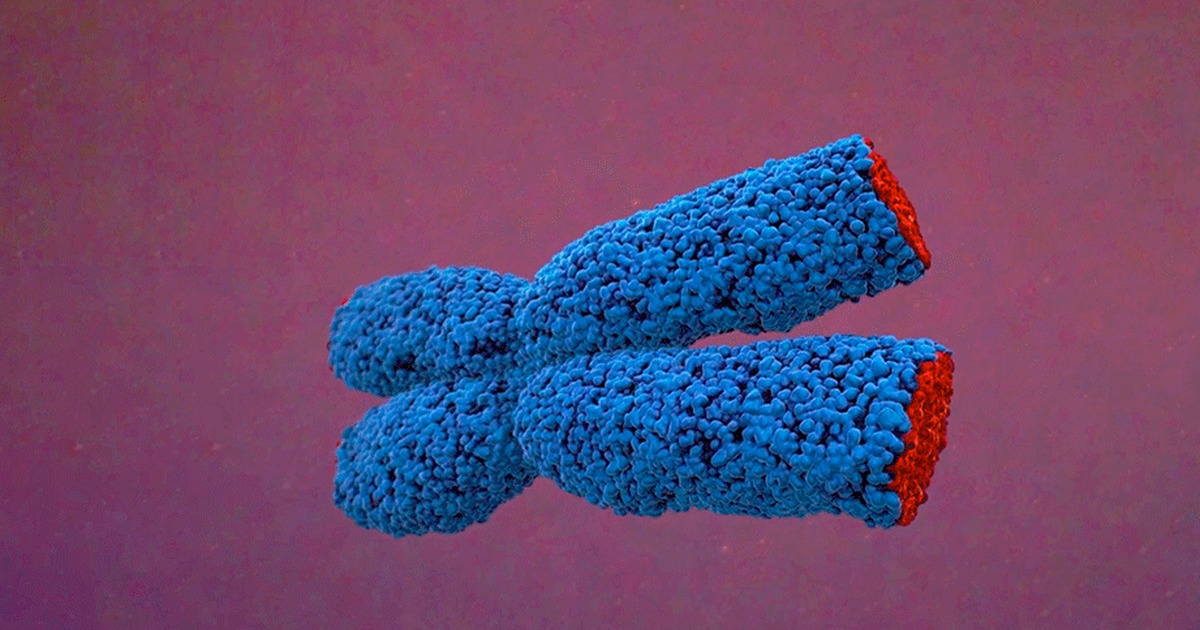 Short Telomere Syndromes CMRI