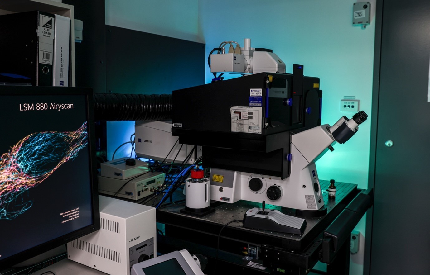 Zeiss LSM 880 Airyscan Laser Scanning Confocal Microscope