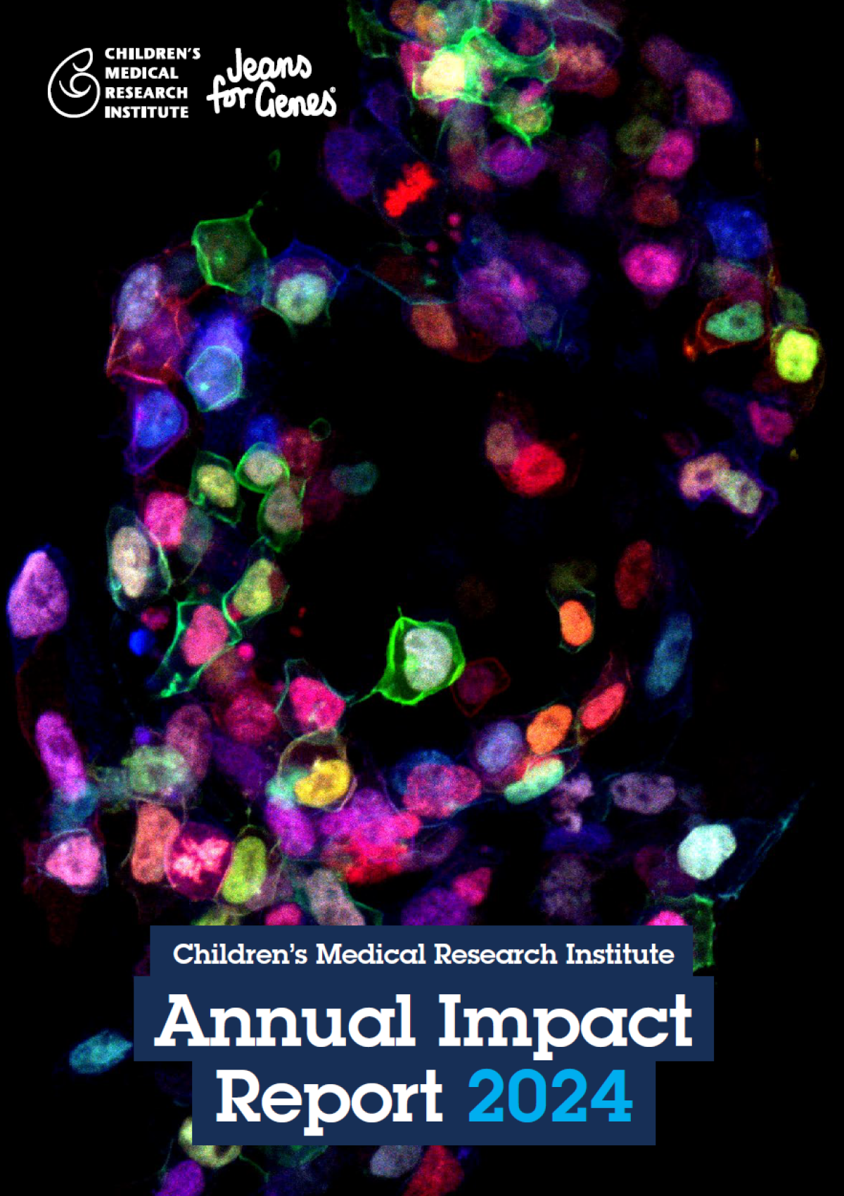 2024 Impact Report Cover