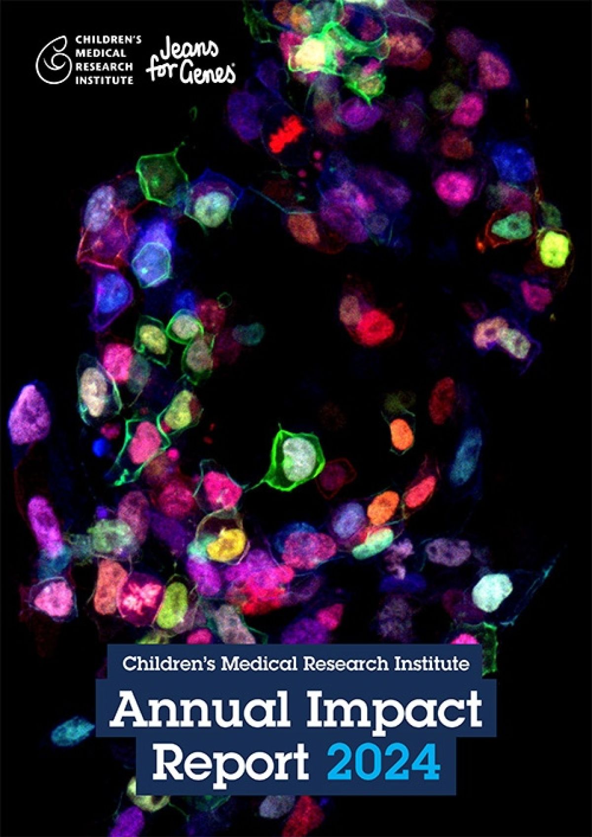 Impact Report 2024 high2