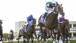 Via Sistina winning the 2025 Queen Elizabeth Stakes