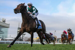 2025 Memsie Stakes winner Treasurethe Moment