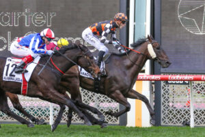 The Valley King: Baraqiel Maintains Perfect Record with 2025 Moir Stakes Win