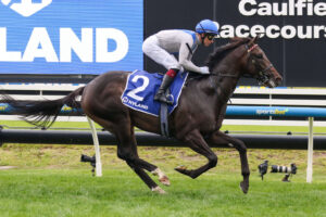 Tight Sir Rupert Clarke Stakes 2025 Betting Market